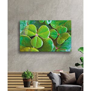 Üç Yapraklı Yonca Yeşil Cam Tablo 36x23 cm