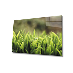 Yeşil Yapraklar Cam Tablogreen Leaves 50x70 cm