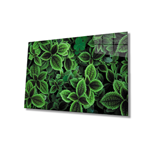 Yeşil Yapraklar Green Leaves Glas 36x23 cm