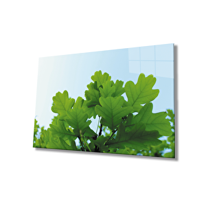 Yeşil Yapraklar Green Leaves 36x23 cm