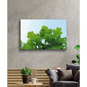 Yeşil Yapraklar Green Leaves 36x23 cm