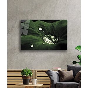 Yeşil Yapraklar Su Damlası Cam Tablo 50x70 cm