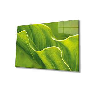 Yeşil Yapraklar Cam Tablo Green Leaves 110x70 cm