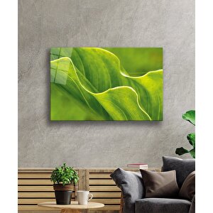 Yeşil Yapraklar Cam Tablo Green Leaves 50x70 cm
