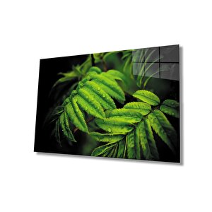 Su Damlası Yeşil Yapraklar Cam Tablo 50x70 cm