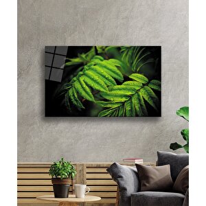 Su Damlası Yeşil Yapraklar Cam Tablo 50x70 cm