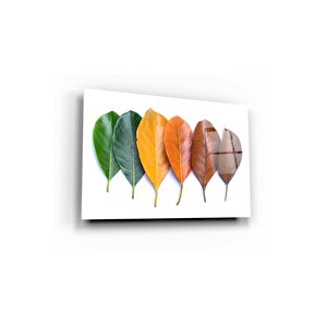 Yapraklar Cam Tablo 60x90 cm