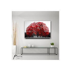 Ağaç Cam Tablo 50x70 cm