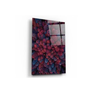 Ağaçlar Cam Tablo 50x70 cm