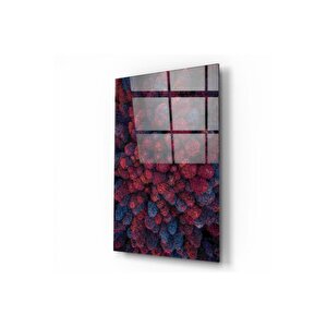 Ağaçlar Cam Tablo 50x70 cm
