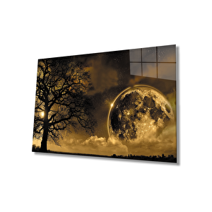 Dünya Ay Ağaç Gece Manzaralı 50x70 cm