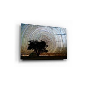 Ağaç Ve Girdap Cam Tablo 70x110 cm