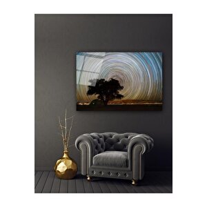 Ağaç Ve Girdap Cam Tablo 60x90 cm