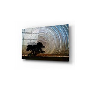 Ağaç Ve Girdap Cam Tablo 50x70 cm