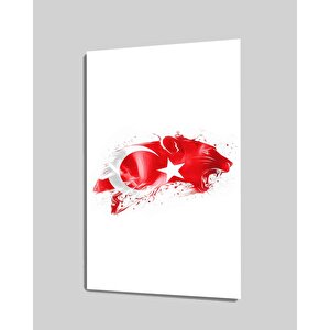 Türk Bayrağı Ve Pars Cam Tablo 36x23 cm