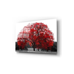 Ağaç Cam Tablo 60x90 cm