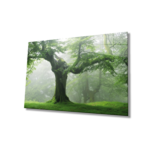 Yeşil Ağaç Cam Tablo Green Tree 50x70 cm