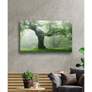 Yeşil Ağaç Cam Tablo Green Tree 50x70 cm