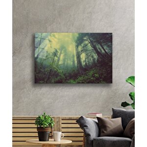 Aşağıdan Yukarı Ağaçlar Yeşil Cam Tablo 50x70 cm