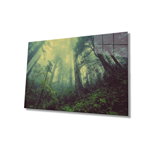 Aşağıdan Yukarı Ağaçlar Yeşil Cam Tablo 36x23 cm