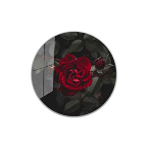 Kırmızı Gül Yuvarlak Cam Tablo 4mm Dayanıklı Temperli Cam 50x50 cm