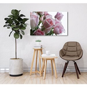 Pembe Güller Cam Tablo 50x70 cm