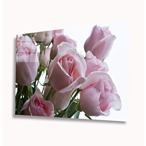 Pembe Güller Cam Tablo 36x23 cm