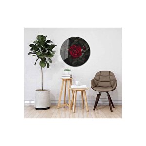 Kırmızı Gül Yuvarlak Cam Tablo 4mm Dayanıklı Temperli Cam 60x60 cm