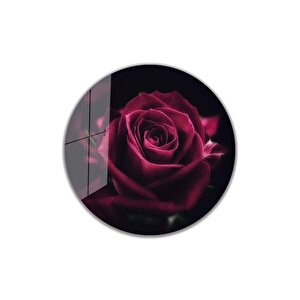 Kırmızı Gül Yuvarlak Cam Tablo 4mm Dayanıklı Temperli Cam 50x50 cm