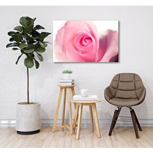 Pembe Güller Cam Tablo 90x60 cm
