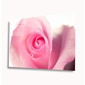 Pembe Güller Cam Tablo 50x70 cm