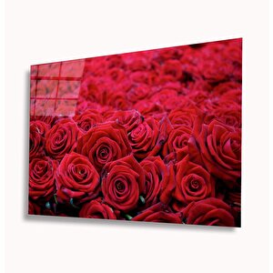 Kırmızı Güller Cam Tablo 50x70 cm