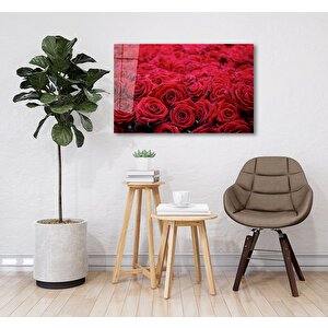 Kırmızı Güller Cam Tablo 50x70 cm