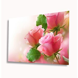 Pembe Güller Cam Tablo 50x70 cm