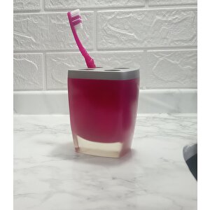 Diş Fırçalık Gri Pembe Poliresin