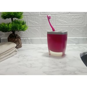 Diş Fırçalık Gri Pembe Poliresin