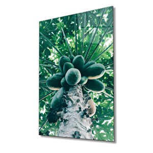 Meyve Cam Tablo Fruits 90x60 cm