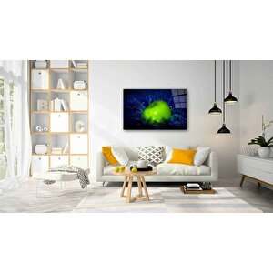 Meyve Cam Tablo 36x23 cm