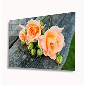 Güller Cam Tablo 36x23 cm