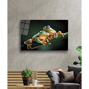 Kurbağa Cam Tablo 50x70 cm