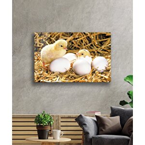 Yumurtalar Civcivler Cam Tablo 36x23 cm
