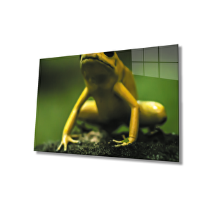 Yeşil Sarı Kurbağa Cam Tablo 36x23 cm