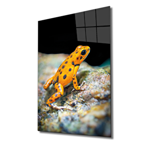 Sarı Kurbağa Cam Tablo Yellow Frog 110x70 cm