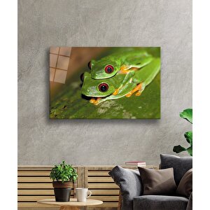 Yeşil Kurbağalar Cam Tablo 36x23 cm