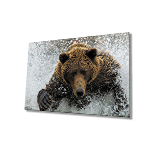 Ayı Cam Tablo 50x70 cm