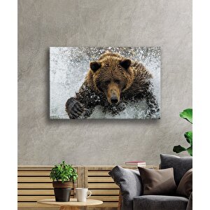 Ayı Cam Tablo 50x70 cm