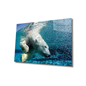 Beyaz Ayı Cam Tablo White Bear In Sea 90x60 cm