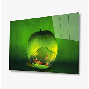 Cam Tablo 50x70 cm