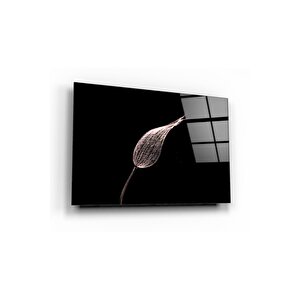 Tüy Cam Tablo 50x70 cm