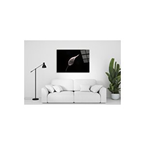Tüy Cam Tablo 50x70 cm